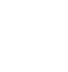 Show Pony